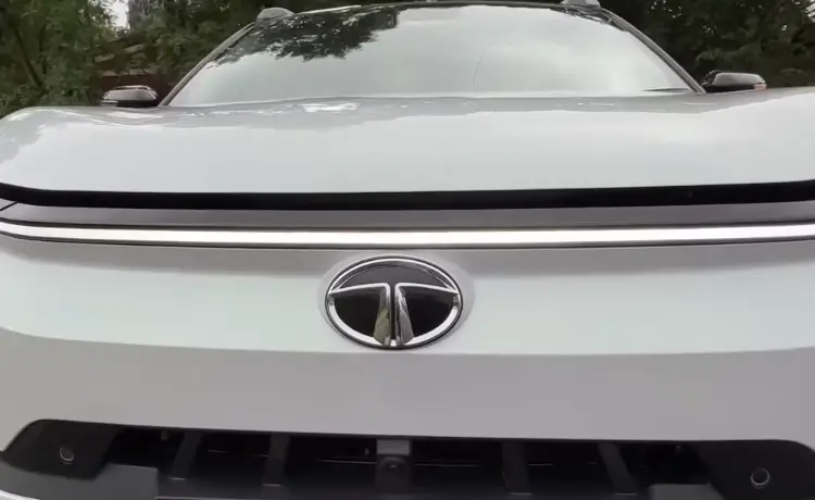 Illuminated logo and connected lights