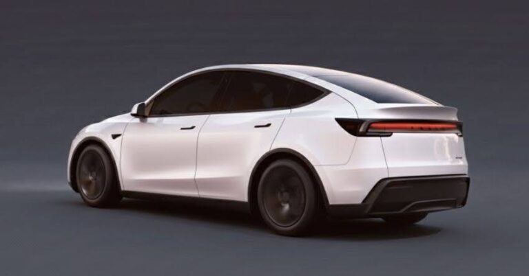 Tesla Robotaxi Service