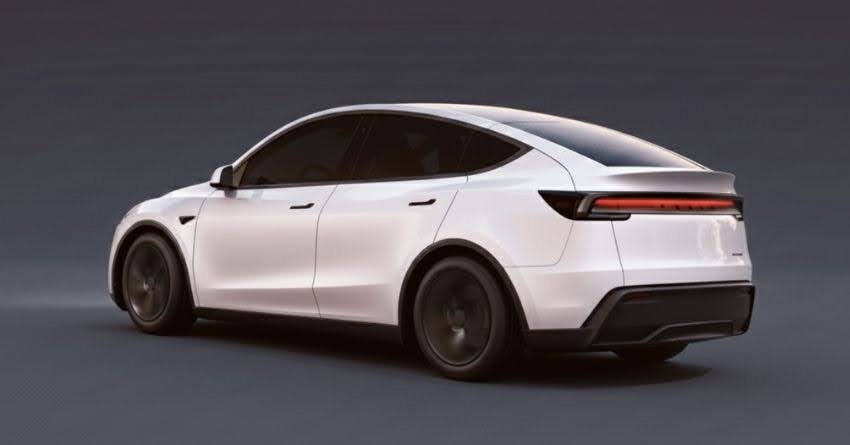 Tesla Robotaxi Service