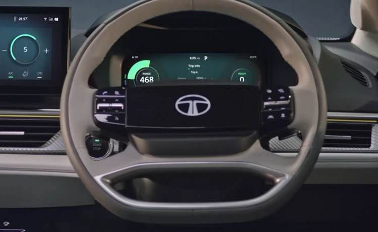 2 Spoke Illuminated Digital Steering Wheel