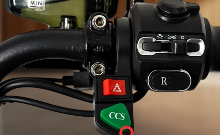 Cruise control Reverse assist