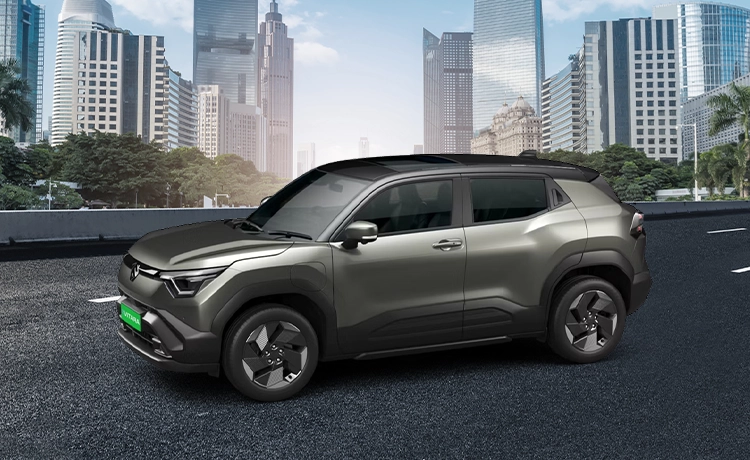 Land Breeze Green With Bluish Black Roof