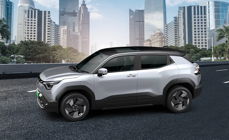 Splendid Silver With Bluish Black Roof