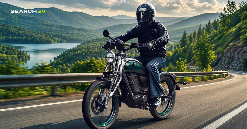 flying flea c6 launched