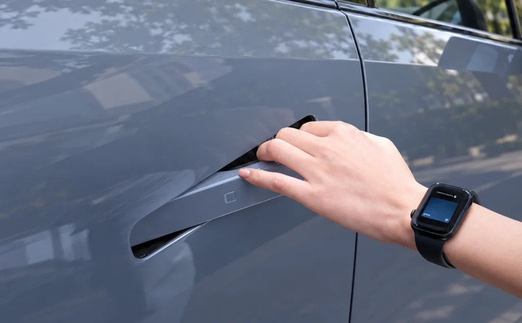 Hyunadi Ioniq 6 flush doors