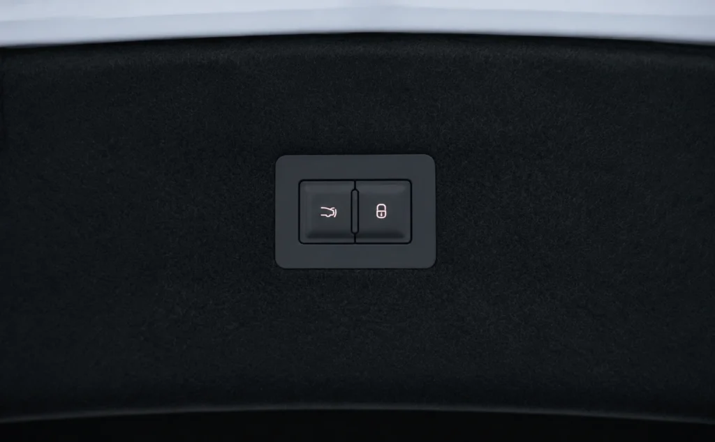 boot switch