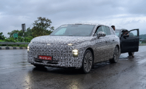 Tata avaniya x Spotted