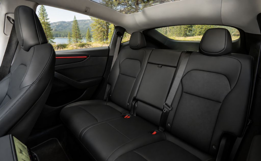 Tesla Model Y interior- rear seats