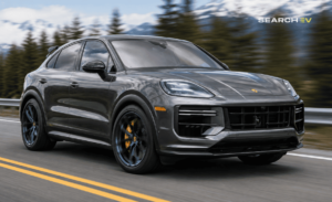 Cayenne Electric Specification